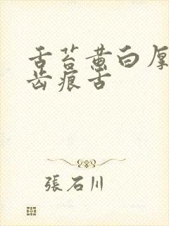 舌苔黄白厚腻有齿痕舌