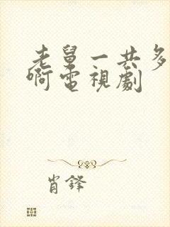 老舅一共多少集啊电视剧