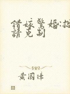 错嫁惊婚:总裁请克制