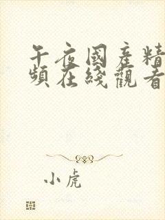 午夜国产精品视频在线观看封面