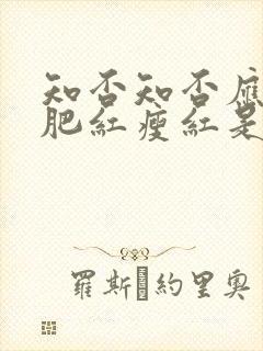 知否知否应是绿肥红瘦红是什么花