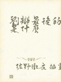 刘辩最后的结局是什么封面