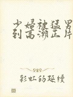 少妇被猛男蹂躏到高潮正片