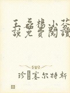 王磊杨小芬的小说免费阅读全文最新章节