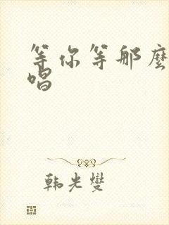 等你等那么久原唱封面