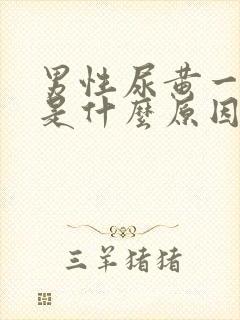 男性尿黄一年了是什么原因