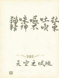 猫咪呕吐拉稀没精神不吃东西