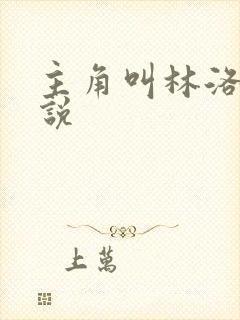 主角叫林洛的小说