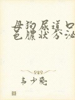 母狗尿道口有黄色脓状分泌物