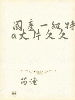 国产一级特黄aa大片久久