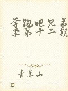 奔跑吧兄弟第五季第十二期画中人