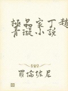 极品家丁赵铮肖青璇小说