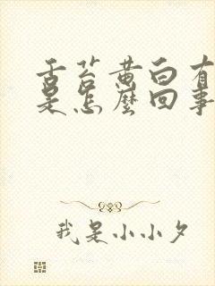 舌苔黄白有齿痕是怎么回事