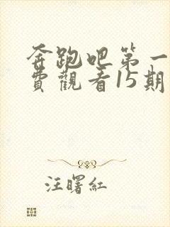 奔跑吧第一季免费观看15期完整版封面