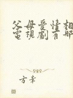 父母爱情相似的电视剧有哪些封面