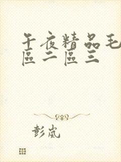 午夜精品毛片一区二区三