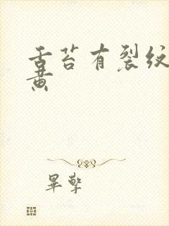 舌苔有裂纹有点黄封面