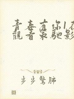 青春有你1在线观看策驰影视封面