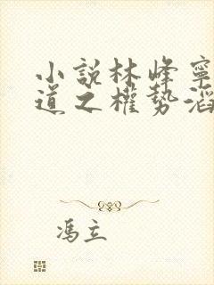 小说林峰宁欣官道之权势滔天