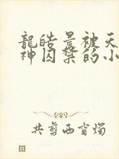 龙皓晨被天谴之神囚禁的小说