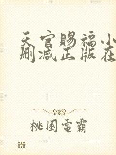 天官赐福小说无删减正版在线阅读