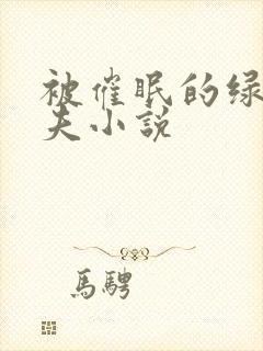 被催眠的绿帽夫夫小说封面