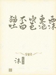 猫不吃东西,呕吐白色泡沫封面