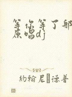 等你等了那么久原唱dj封面