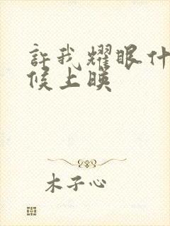 许我耀眼什么时候上映