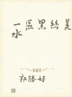 一区黑丝美女喷水封面