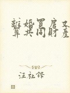 离婚买房又复婚算共同财产吗封面