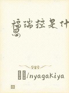 福瑞控是什么意思封面