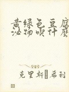 黄绿色豆腐渣分泌物吃什么药