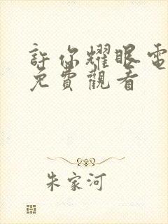 许你耀眼电视剧免费观看