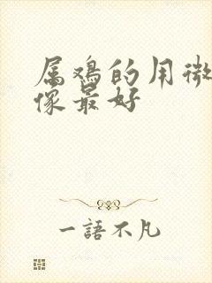 属鸡的用微信头像最好