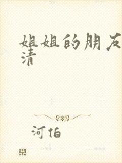 姐姐的朋友3高清
