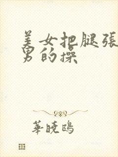 美女把腿张开给男的操