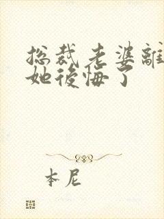 总裁老婆离婚后她后悔了封面