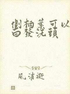 侧柏叶可以调理白发洗头