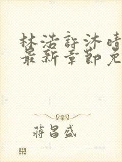 林浩许沐晴小说最新章节免费阅读全文