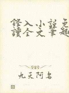 锋入小说免费阅读全文笔趣阁