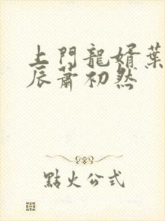 上门龙婿叶辰叶辰萧初然