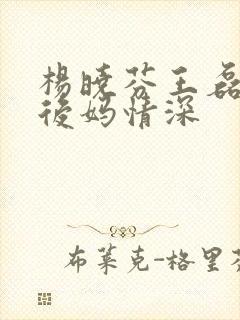 杨晓芬王磊小说后妈情深