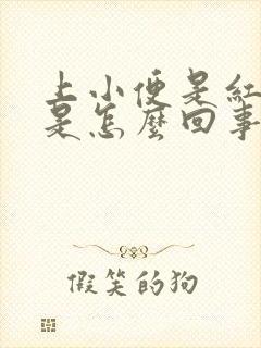 上小便是红色的是怎么回事