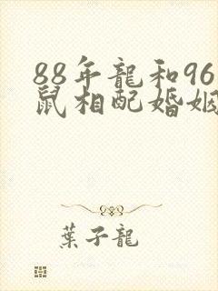 88年龙和96鼠相配婚姻如何