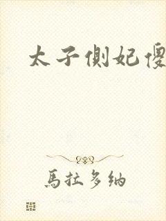 太子侧妃傻乎乎封面