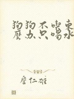 狗狗不吃东西怎么办只喝水怎么办