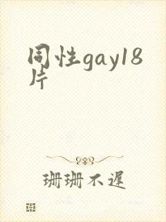 同性gay18片