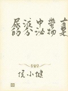 尿液中带有白色的分泌物是怎么回事