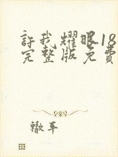 许我耀眼18集完整版免费观看封面